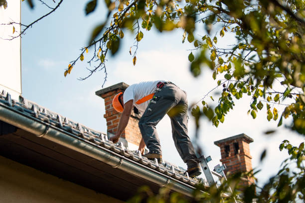Best Gutter Installation and Roofing  in Laurel, VA