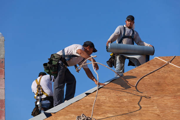 Best Roof Restoration Services  in Laurel, VA